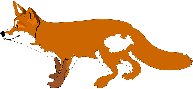 Orange, Fox, Side, Forest, Animal, Tail, Mammal - Fox Cartoon Transparent (640x320)