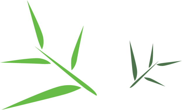Pin Bamboo Tree Clipart - Bamboo Leaf Png (800x418)