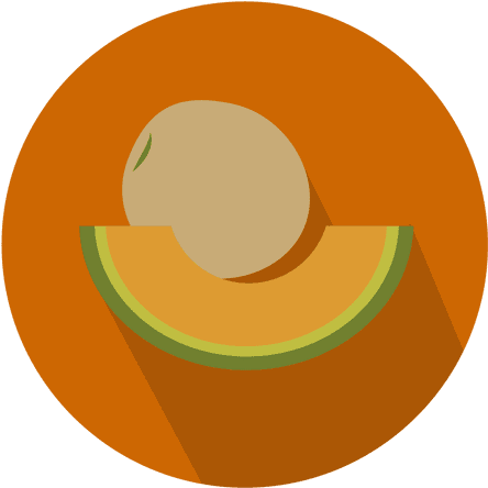 Melon Flat Circle Icon Transparent Png - Portrait Of A Man (512x512)