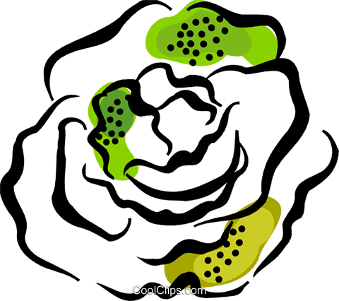 Lettuce Royalty Free Vector Clip Art Illustration - Lettuce Royalty Free Vector Clip Art Illustration (480x426)