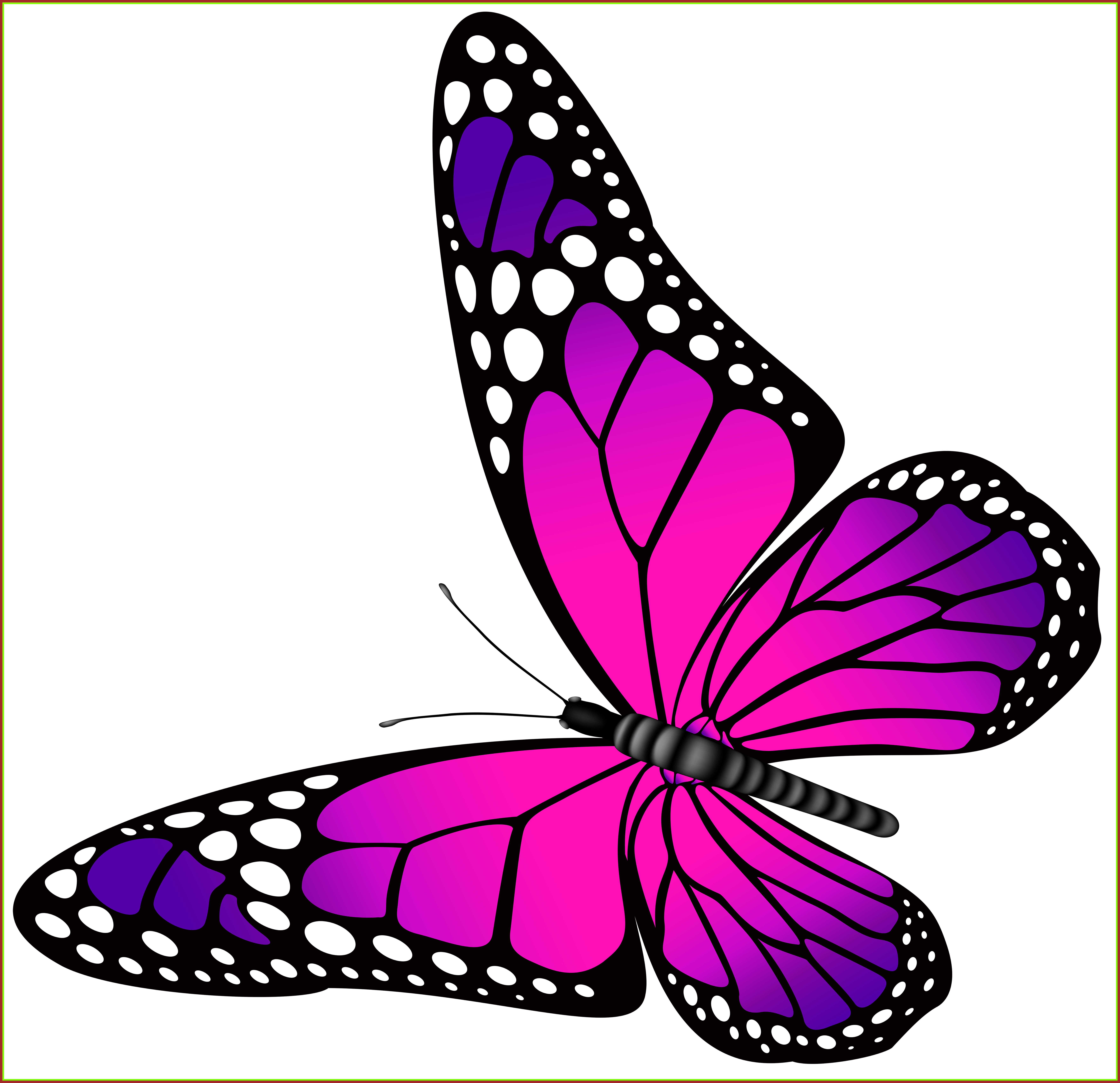 Awesome Butterfly Pink And Purple Transparent Png Clip - Awesome Butterfly Pink And Purple Transparent Png Clip (7050x6819)