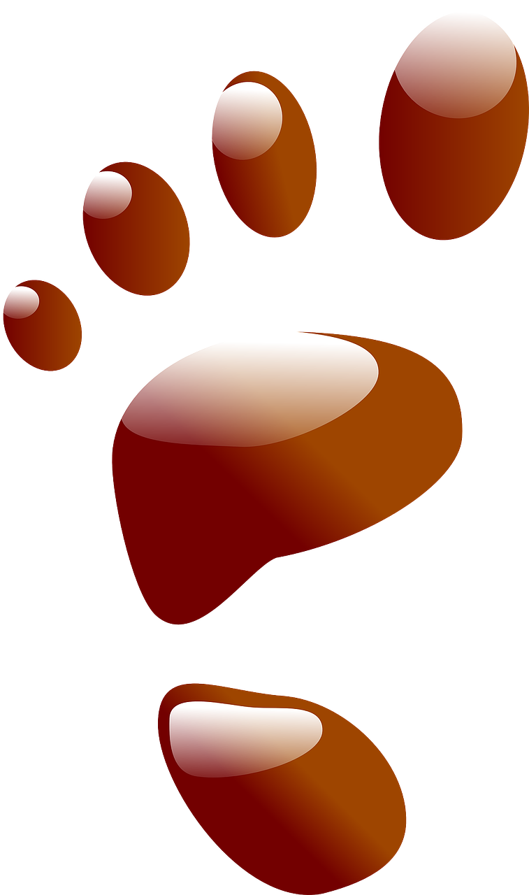 Footprint Print Red Imprint Png Image - Clip Art (757x1280)