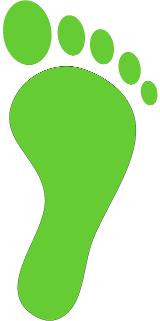 Calculate Your Carbon Footprint - Carbon Footprint (320x640)