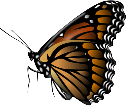 Monarch Butterfly Insect Animal Butterfly - Butterfly Png (404x340)