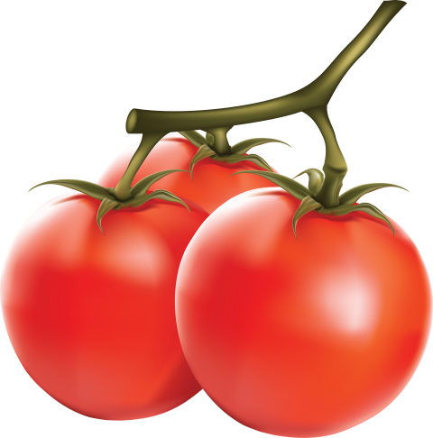 Free Png Tomato Png Images Transparent - Tomato Png (480x486)