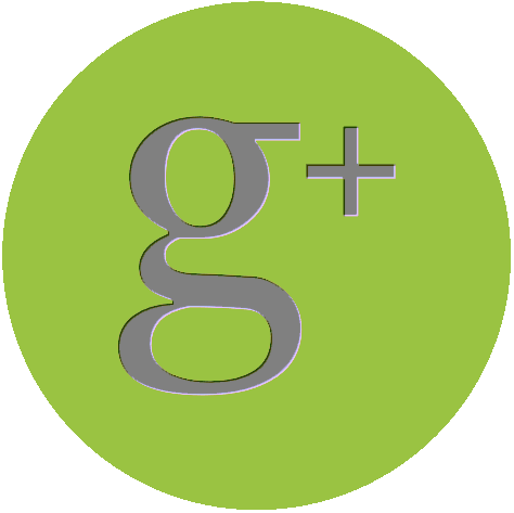 Gray Facebook Logo With Green Background Gray Google - Portrait Of A Man (474x473)
