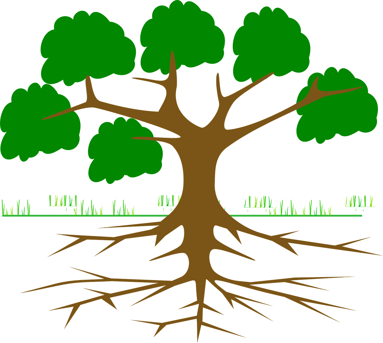 Em Foundations - 8/24/17 - Root Of A Tree Cartoon (1280x1145)