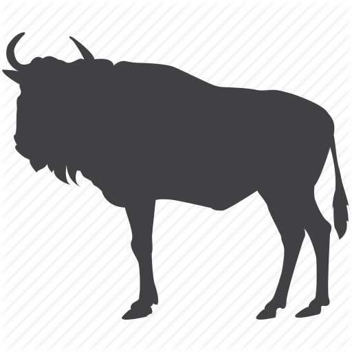 Migration Viewing - Bufalo Png (512x512)