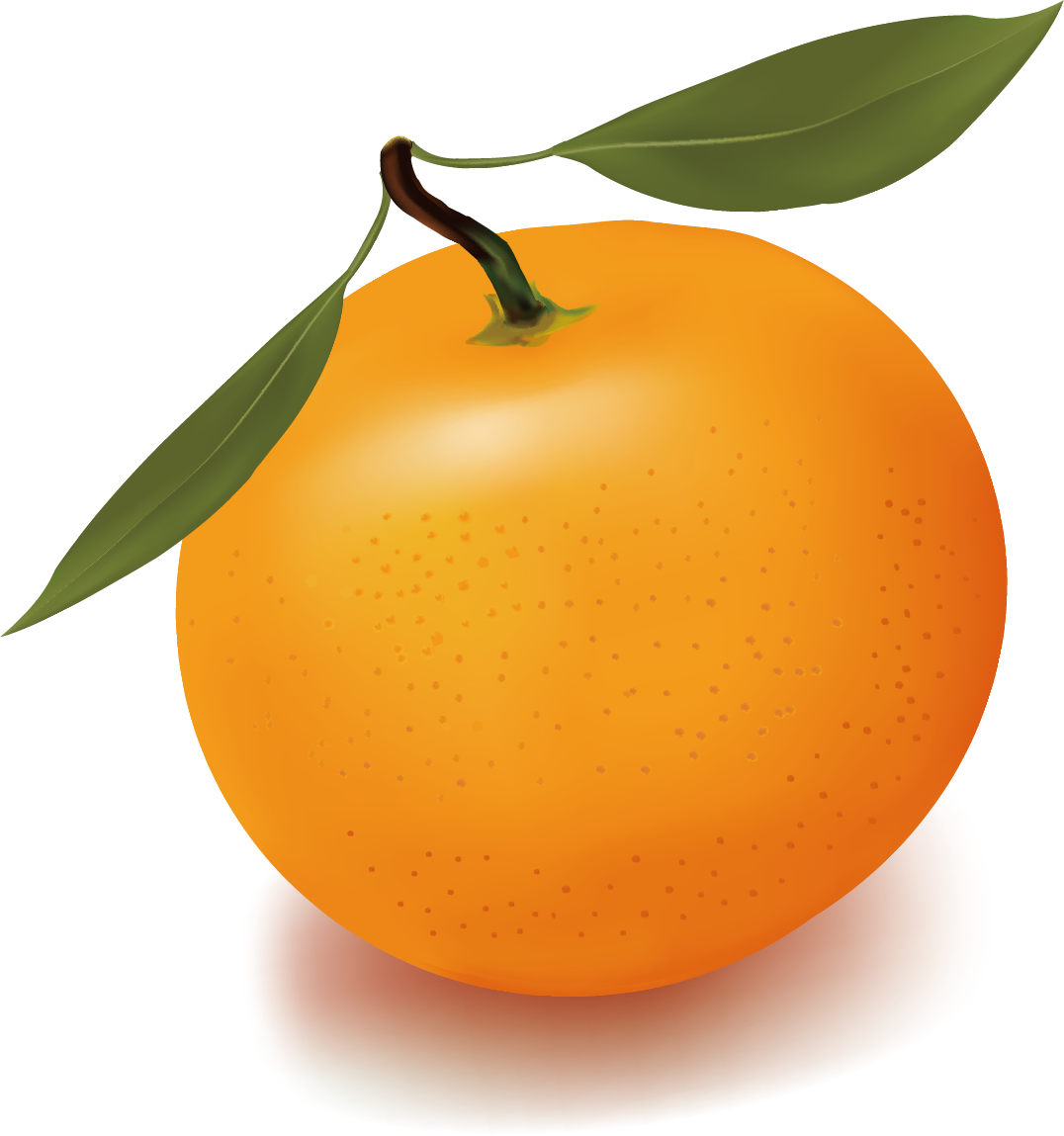 Orange Juice Free Content Clip Art - All Kinds Of Fruits (1076x1149)