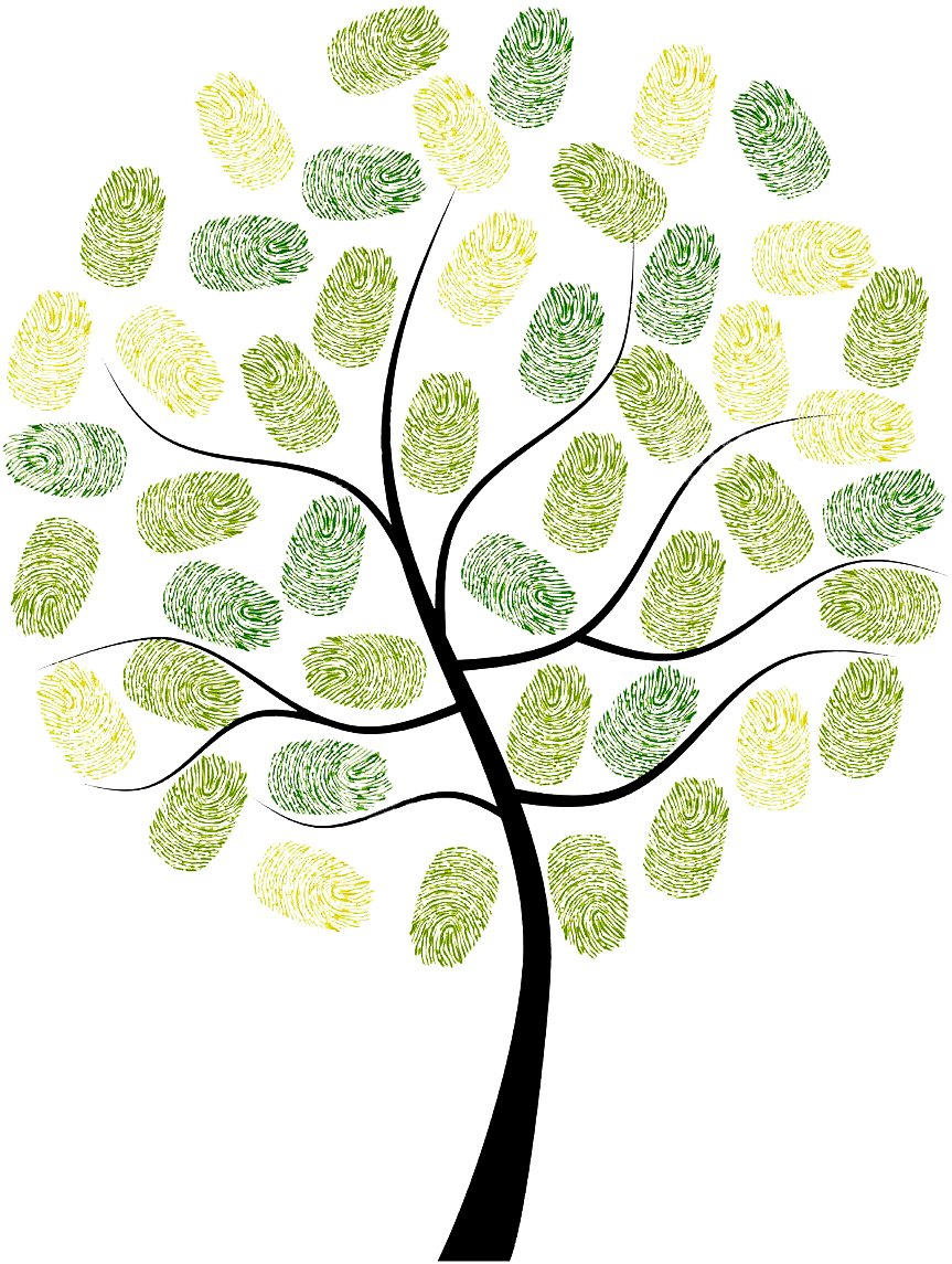 Fingerprint Owl Tree Digit Euclidean Vector - Arbol Huellas Png (998x1206)