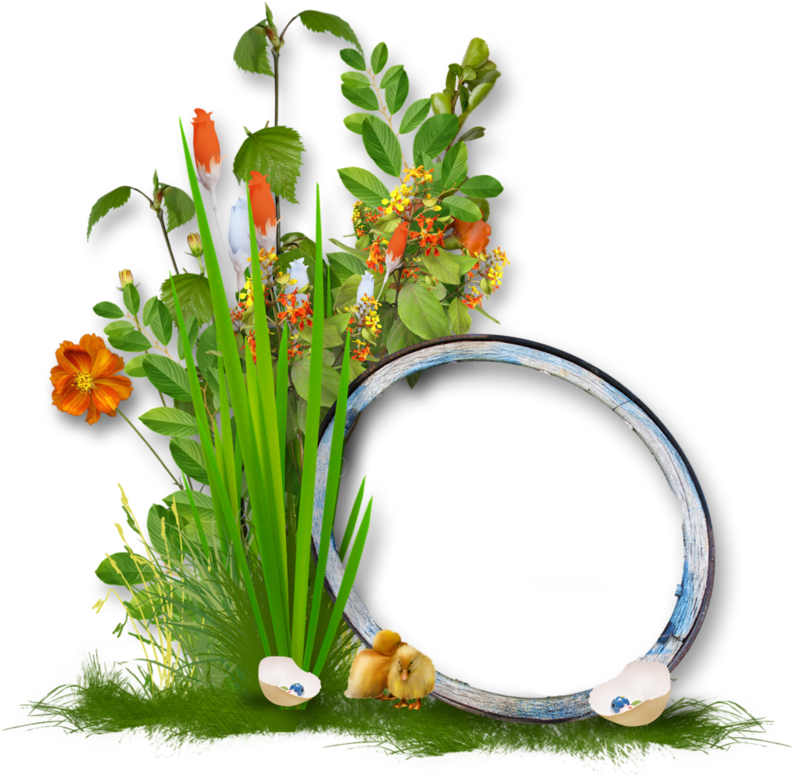 0 8aa69 E2359f8 Xxl - Cadres Fleuris (800x775)