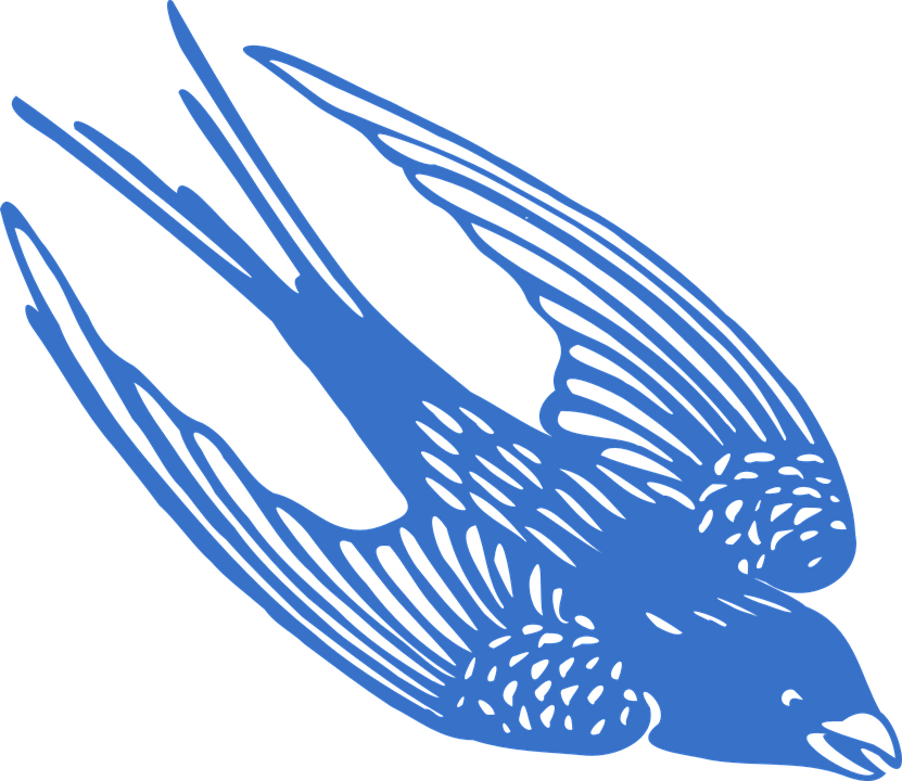 Paris Blue Cliparts 23, Buy Clip Art - Blue Jay Flying Cartoon (831x720)