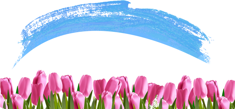 Tulip Clip Art - Tulip (800x420)