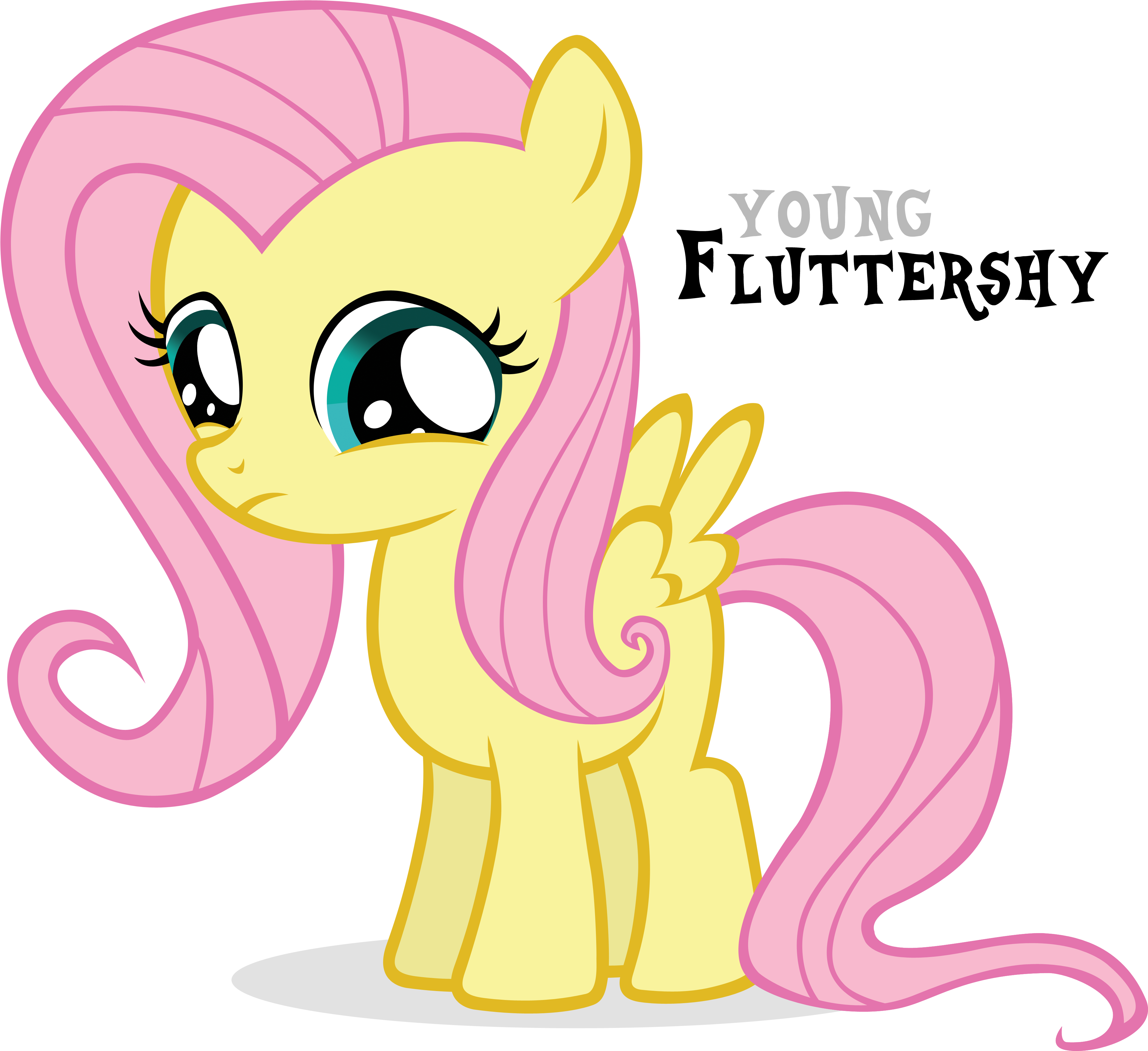 Young Fluttershy Fluttershy Rainbow Dash Pinkie Pie - My Little Pony Sticker (4225x4245)