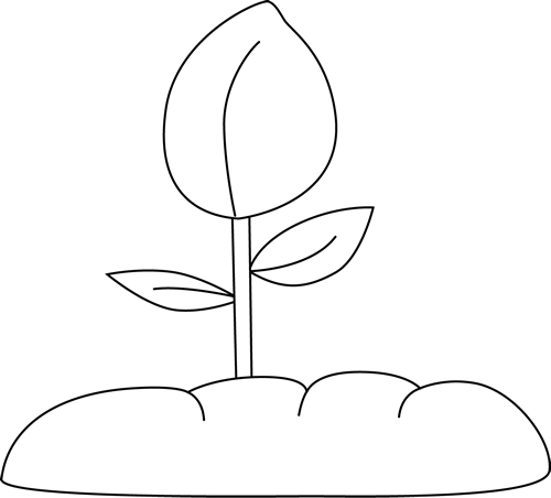 Black And White Plant - Plant Clipart Black And White Png (500x452)