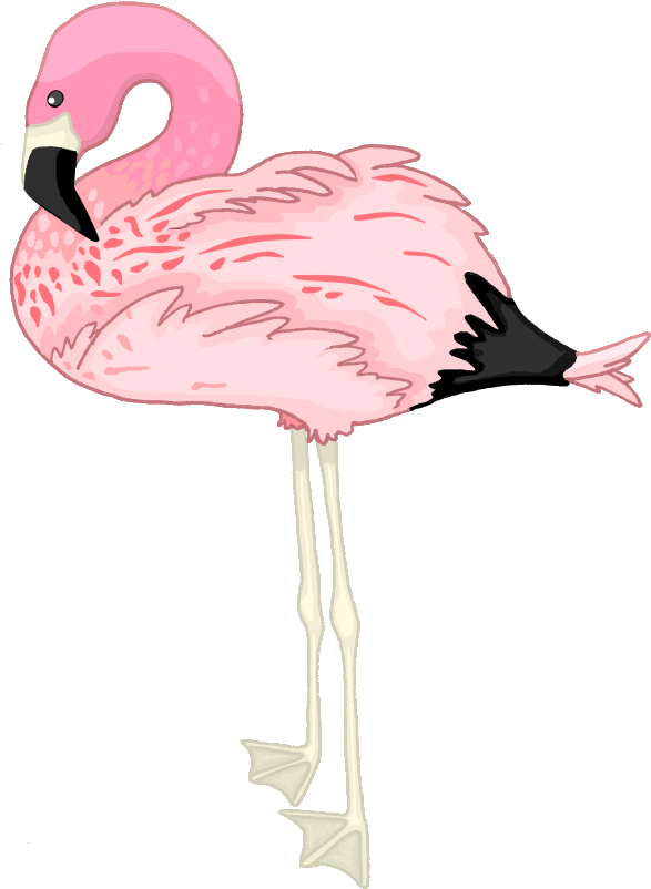 Flamingo By Zenafluff On Deviantart - Flamingo Transparent (600x830)