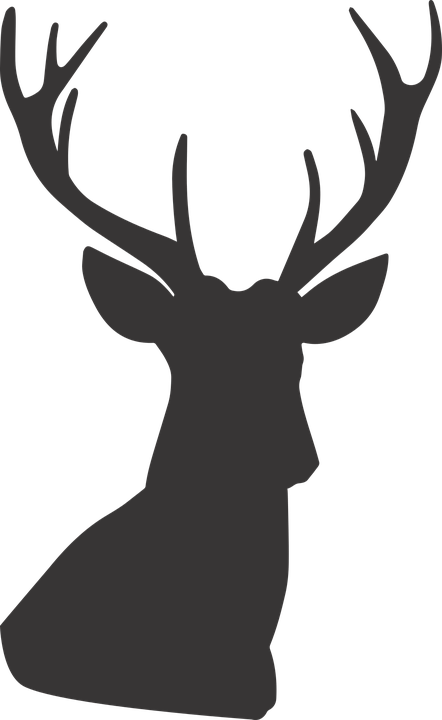 Reindeer Silhouette Cliparts 10, Buy Clip Art - Deer Silhouette (442x720)