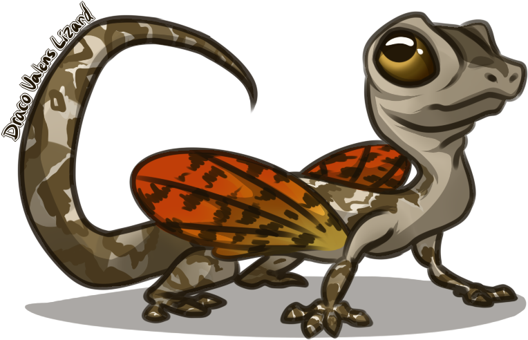 Draco Volans Lizard By Charizardsparks - Draco Volans (800x500)