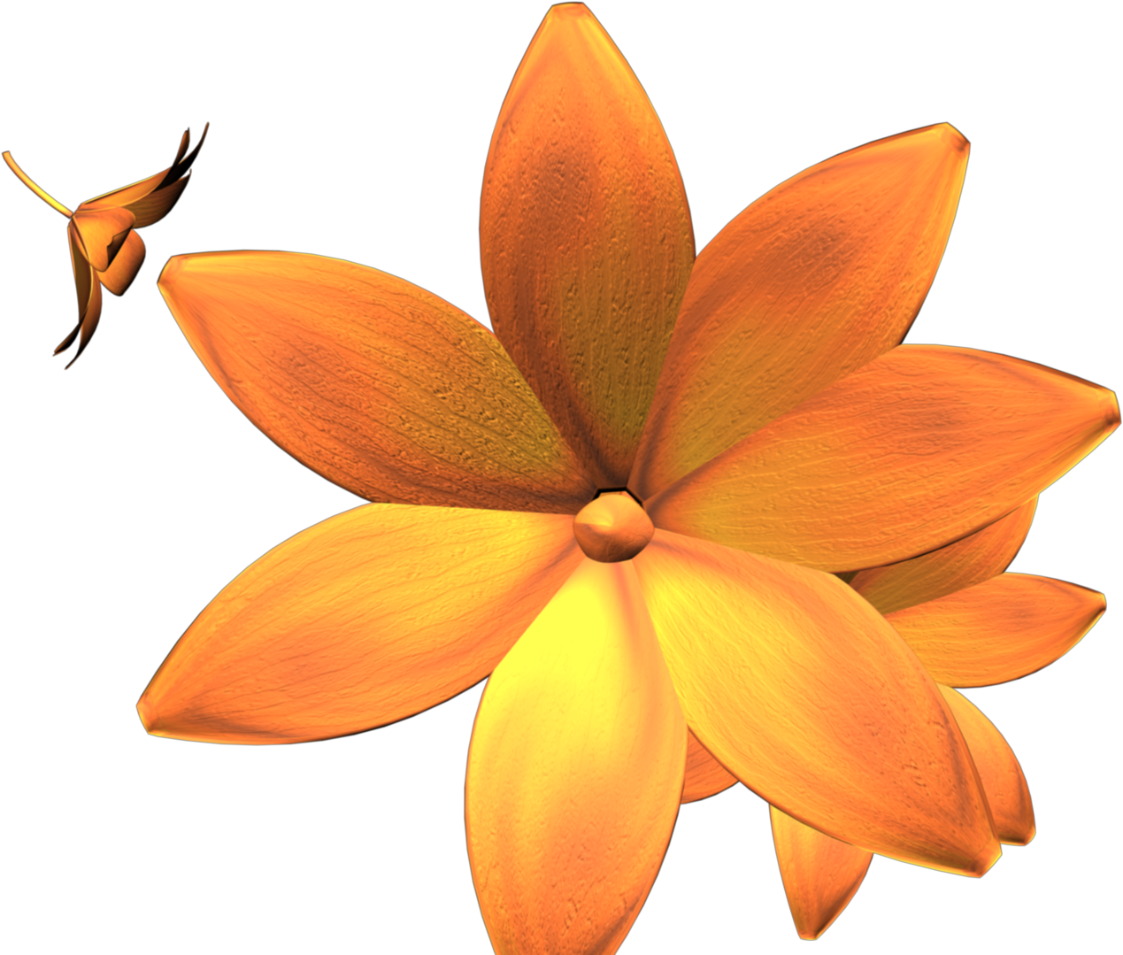 Static File - Ceratostylis (1920x1080)