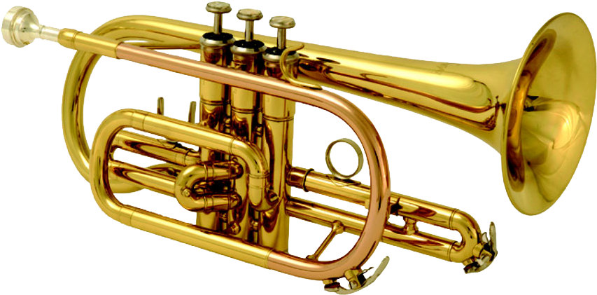 Brass Band Instrument Free Download Png - Band Instrument Png (1000x517)