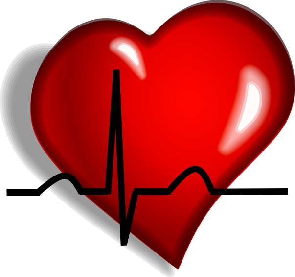 Cardio Classifier Uses The American College Of Medical - Heart Clip Art (603x565)
