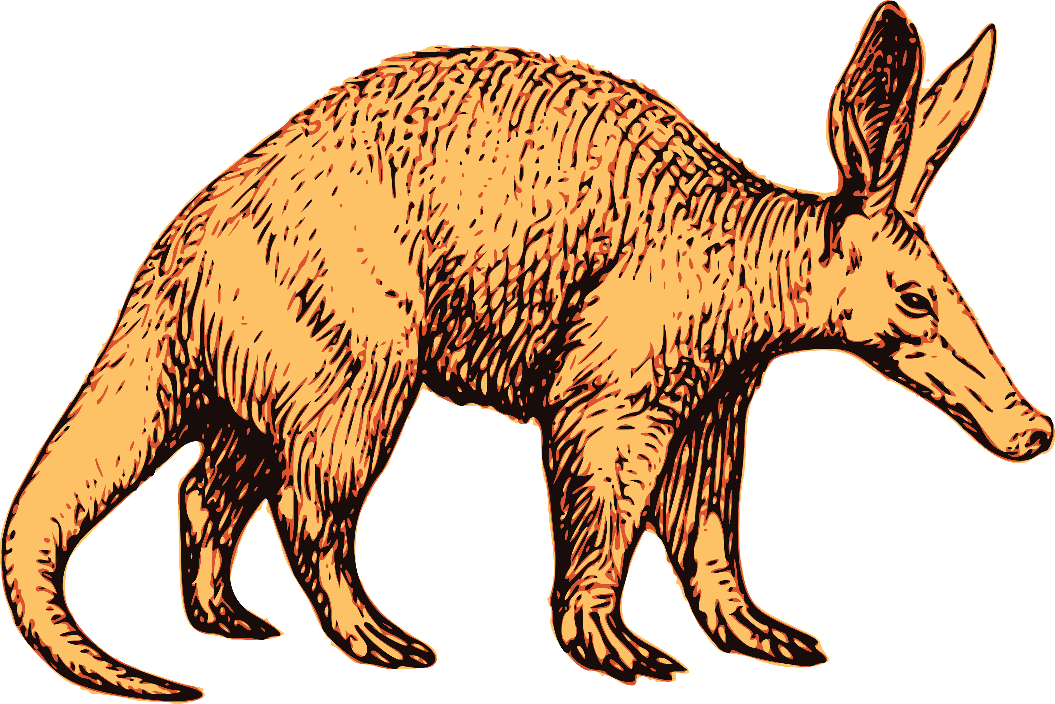 Free Clipart Of A Profiled Aardvark Wildlife - Boba Guys (4000x2669)