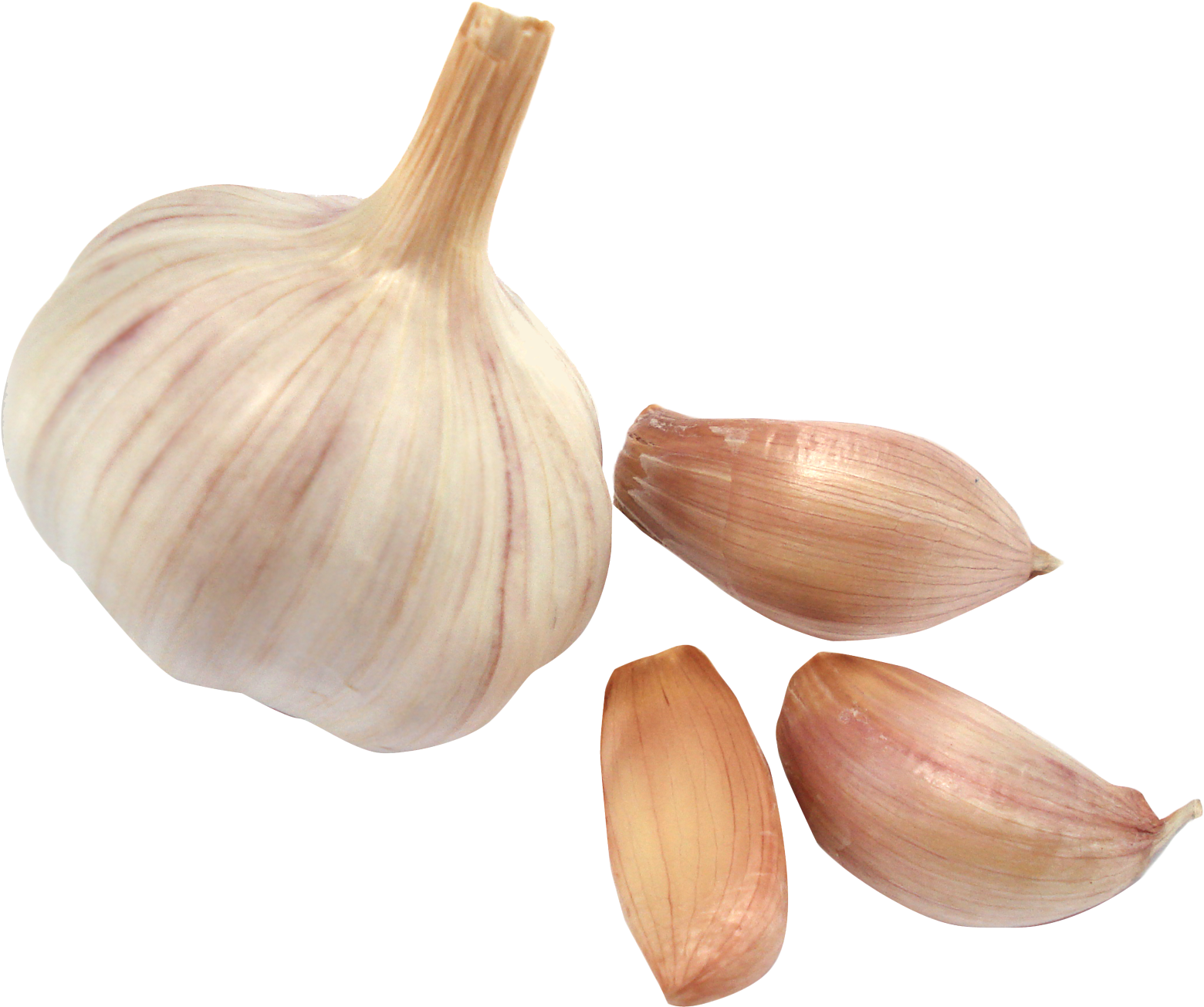 Garlic Png - Good For Knee Pain (1763x1447)