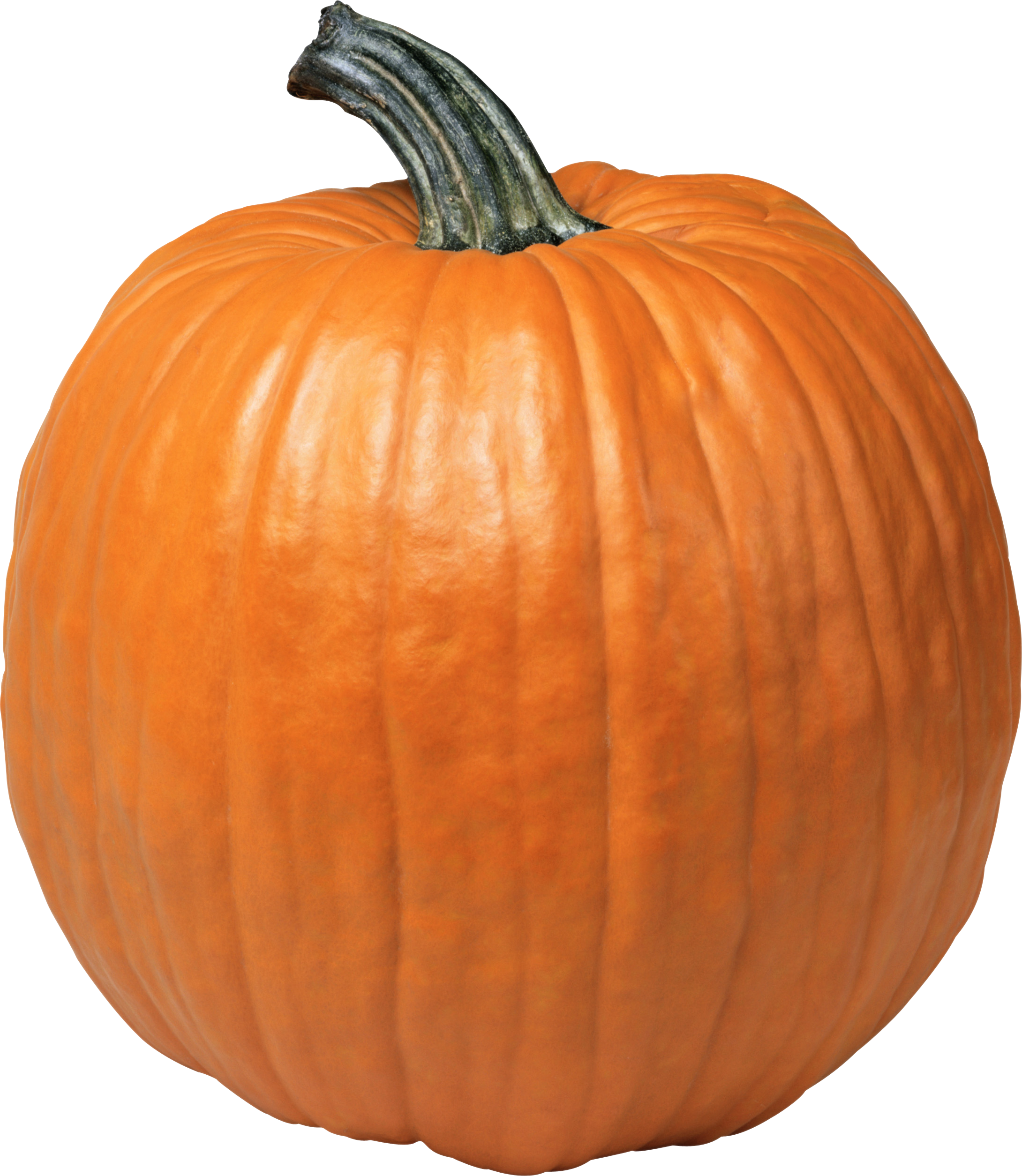 Pumpkin Png Image - Pumpkin Png (2180x2509)
