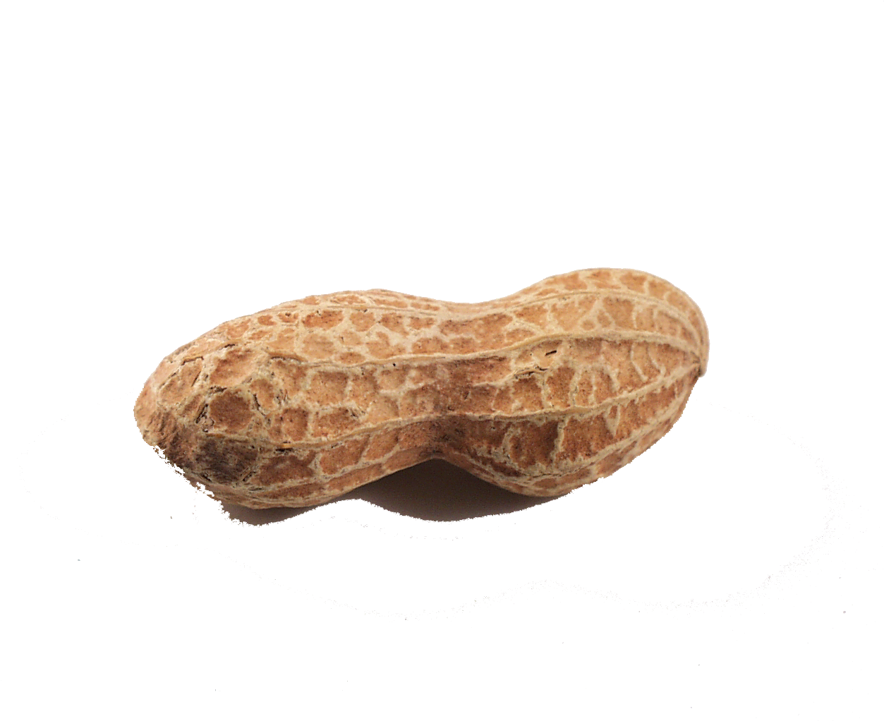 Peanut Png Clipart - Transparent Background Peanut Butter And Jelly Sandwich (1280x1024)