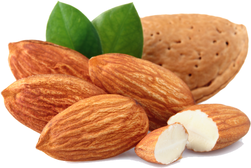Almond Free Download Png - Almond Png (1000x800)