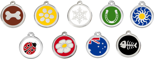 Red Dingo Ponúka Nezničiteľné Psie Známky Vyrobené - Fish Bones (600x300)