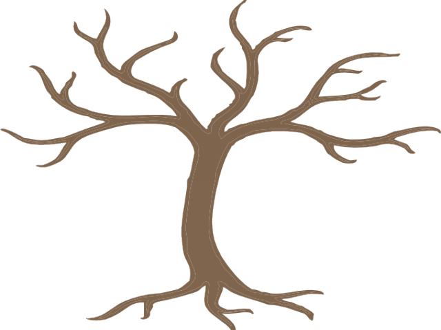 Stem Clipart Trunk - Bare Tree Clip Art (640x480)