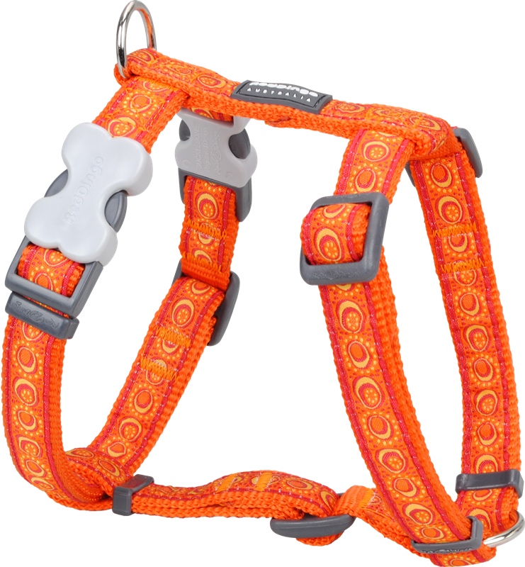 Red Dingo Cosmos Orange M-méretben Hám - Red Dingo Cosmos Orange Small Dog Harness (741x800)