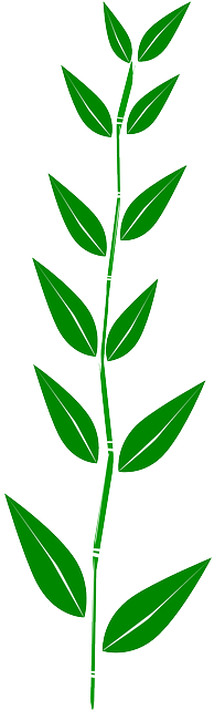 Weed Bamboo, Leaves, Plant, Weed - Boarder Leaves Clipart (320x640)