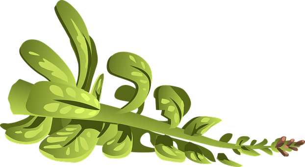 Plant, Green, Leaves, Branch, Nature - Clip Art (622x340)