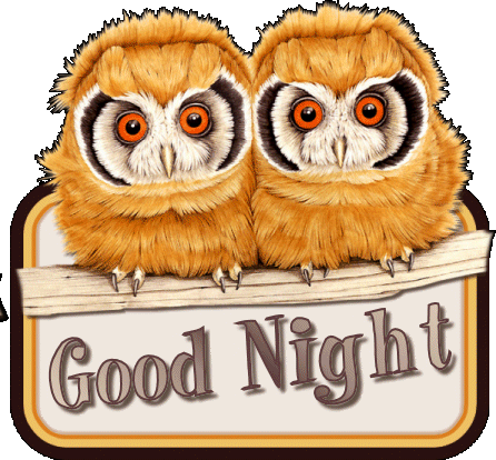 Goodnight Alphabettys Good Night Owl Gif 446x414 Png Clipart Download