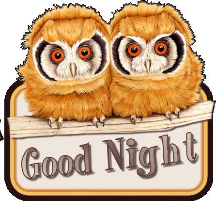 Goodnight Alphabettys Good Night Owl Gif 446x414 Png Clipart Download Goodnight Alphabettys Good Night Owl Gif 446x414 Png Clipart Download