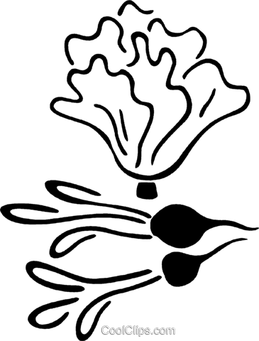 Radishes Royalty Free Vector Clip Art Illustration - Radishes Royalty Free Vector Clip Art Illustration (365x480)