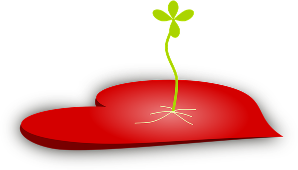 Heart Culture Plant Red Tender Seed Life F - Seed Planted In Heart (1334x750)