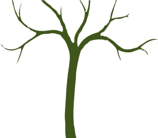 Stem Clipart Base - Stem Clipart Base (640x480)