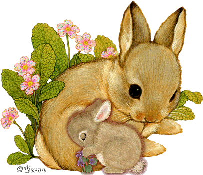 Goodnight Dear Friends❤️love You❤️annie Bluebird X - Картички За Първа Пролет (419x357)