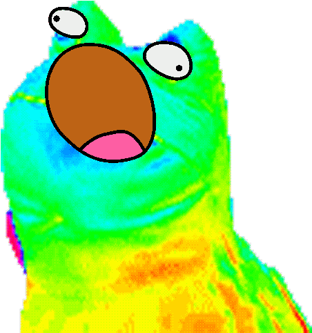 Rainbow Frog Face Edit Thingy - Dancing Rainbow Frog Gif (500x500)