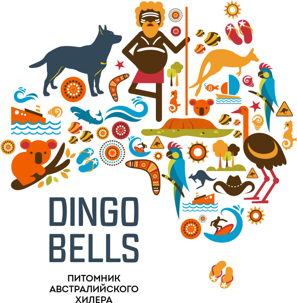 Питомник Австралийской Пастушьей Собаки Дингобеллс - Art Print: Marish's Australia Map, 61x46in. (615x649)