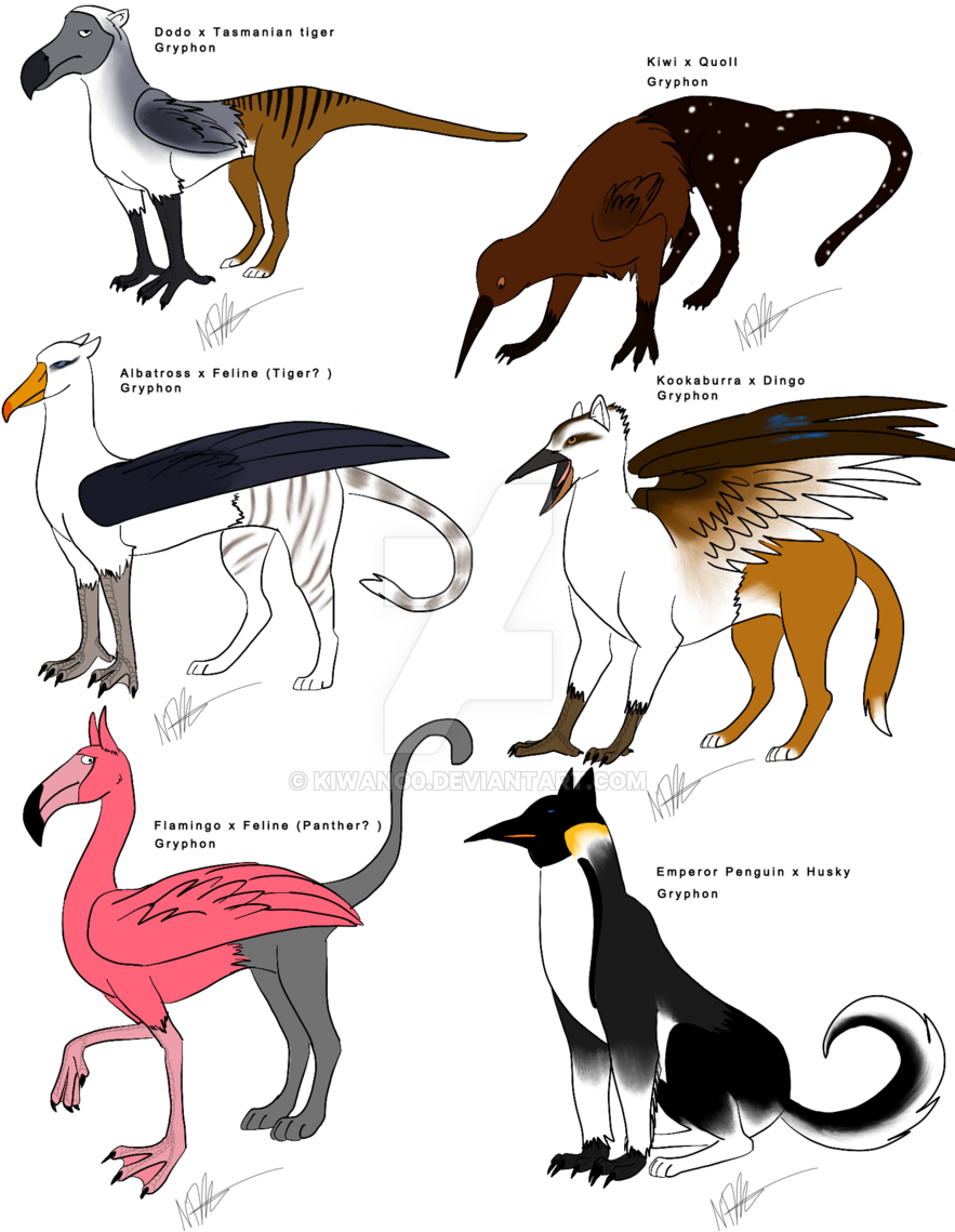 Unusual Gryphons By Kiwano0 Unusual Gryphons By Kiwano0 - Illustration (900x1200)