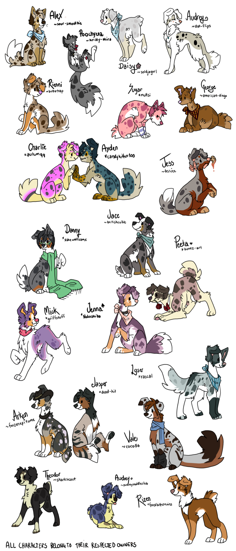 Australian Shepherd (900x2096)