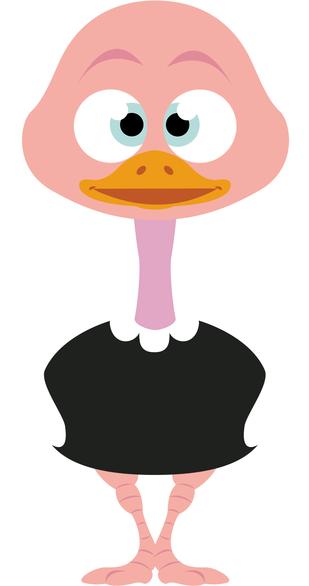 Autruche Png - Common Ostrich (1173x2126)
