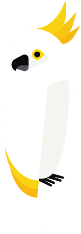 Cockatoo Illustration Transparent Png - Illustration (512x512)