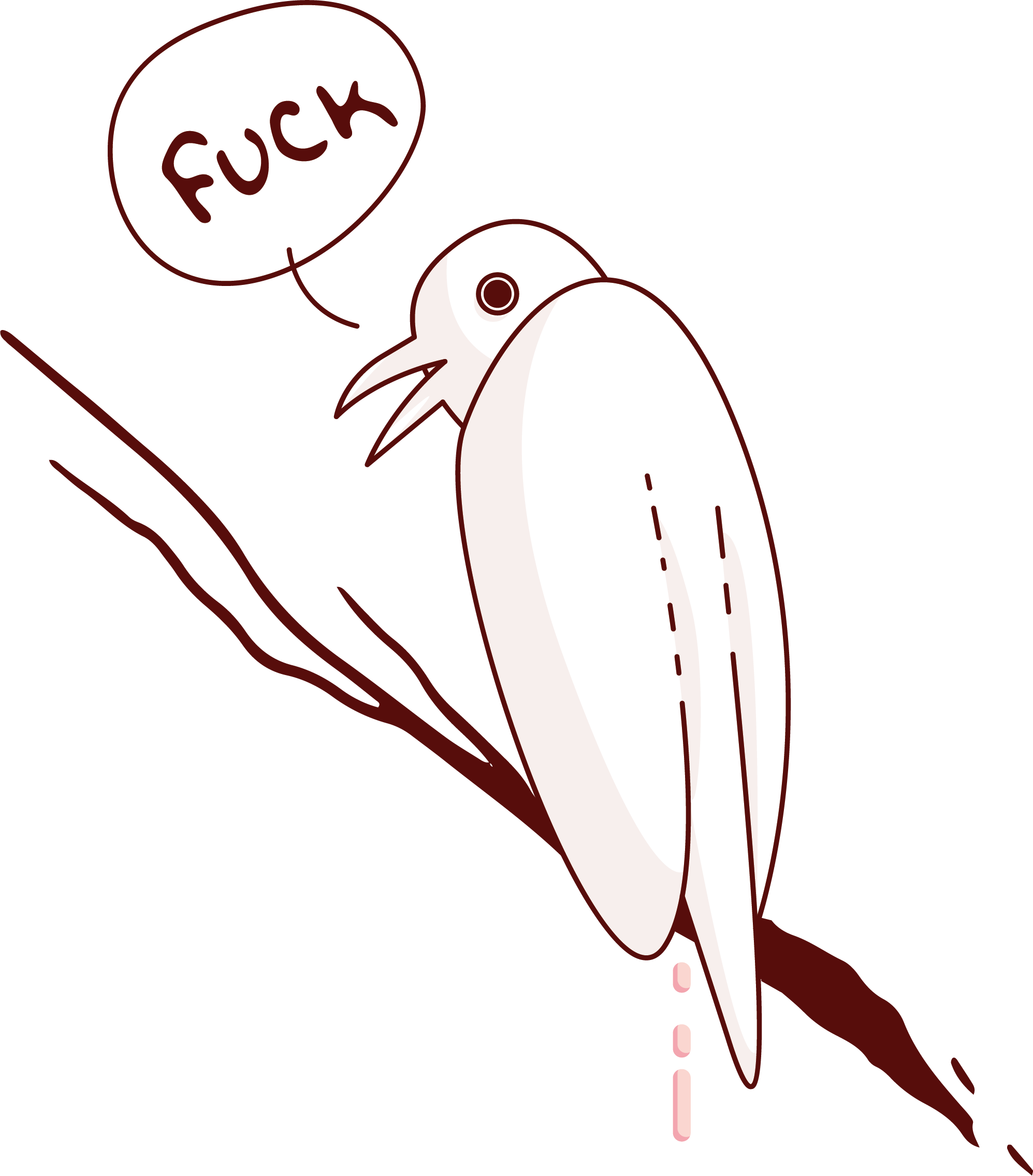 Bird Clip Art - Illustration (1995x2270)