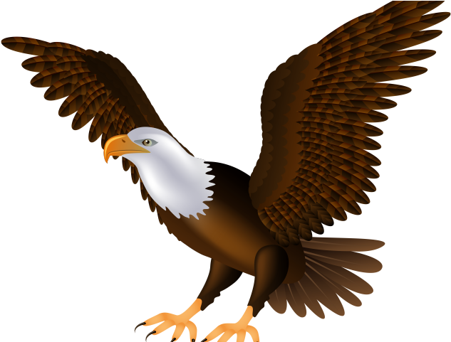 Golden Eagle Clipart Dead Eagle - Bald Eagle Clip Art (640x480)