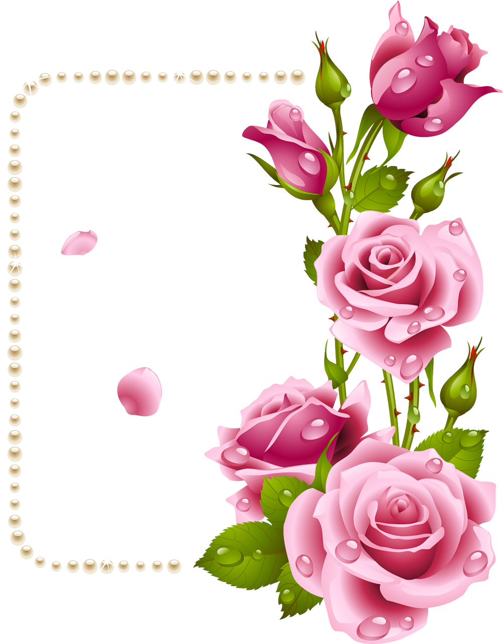 Рамки Красивые Открытки С Цветами - الف مبروك المركز الاول (1001x1280)